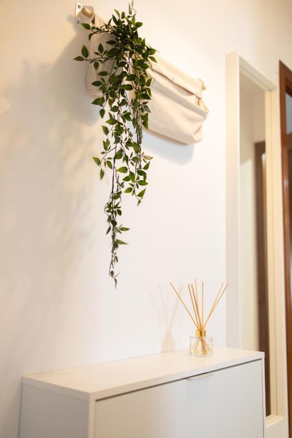 Apartamento Unicornio Sanlucar de Barrameda Exterior photo